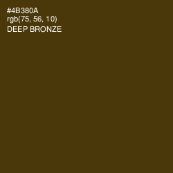 #4B380A - Deep Bronze Color Image